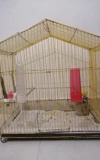 قفس پرنده و کوله ای حمل حیوانات