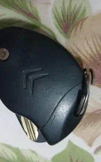 سوئچ زانتیا پیدا شده