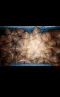 کاه نرم ومرغوب درجه یک