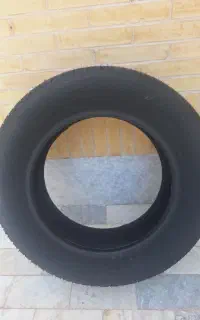 لاستیک سواری برندبارز
