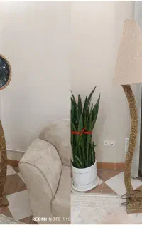 فروش ست ساعت وآباژور
