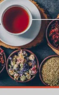 دمنوش گیاهی سنگ کلیه