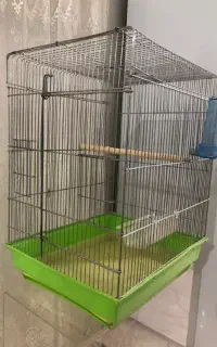 قفس کاسگویی و عروس هلندی