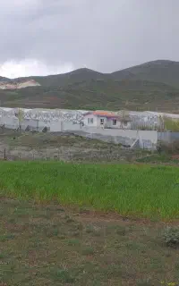 فلیم بردار ، تدوینگر
