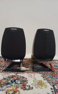 بلندگو کامپیوتر