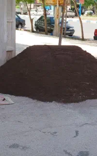 خاور شن شسته مخلوط خاک باغچه نخودی بادامی نخاله