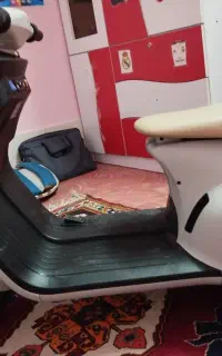 موتور برقی پا کشتی.