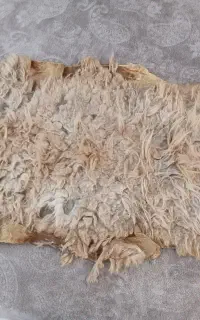 پوست بز وگوسفند