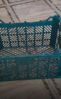 سبد سیب درختی