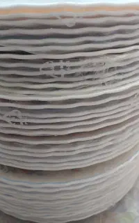 ظروف سروپذیرایی