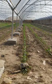 نصاب و جوشکار گلخانه