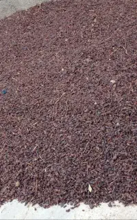 گله ی انگورپیکامی خوب