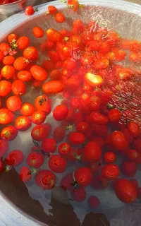 دستگاه اب گوجه گیری