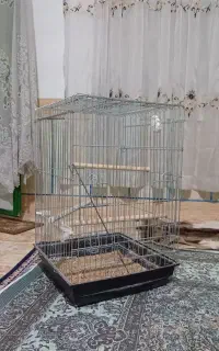 یک عدد قفس