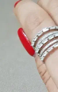 پلاک فروهر و انگشتر