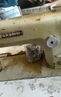 چرخ صنعتی  سالم