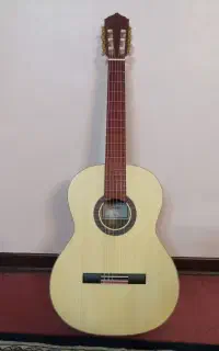 گیتار حرفه ای دوستی(دست ساز)