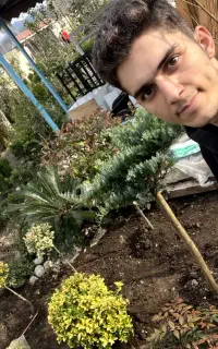 فضای سبز محوطه سازی