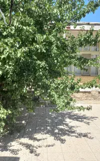 خونه ویلایی ۲۰۴ متری شلمزار بحر خیابان امام خمینی