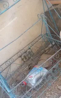 گهواره بزرگو سالم واسه دوقلو خوبه