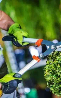 باغبانی کرج کمال شهر محمدشهر ملارد گرمدره باغستان