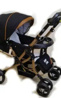 کالسکه دلیجان مدل بنیتا