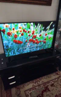 ال ای دی 43 اینج