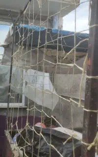 سه چرخ فقط،تریلش