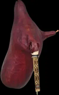 نی انبان