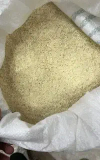 برنج طارم خرید مستقیم از کشاورز