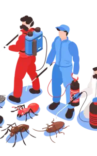 سمپاشی منازل علیه حشرات موذی