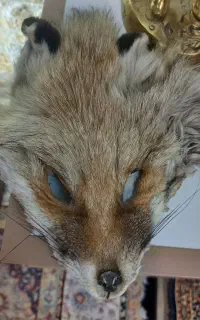 مجسمه