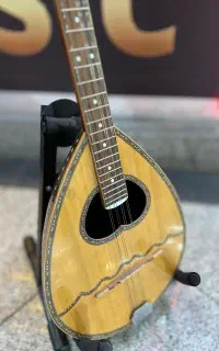 ساز بوزوکی (bouzouki).