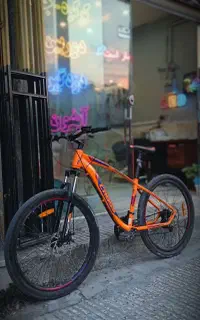 دوچرخه حرفه ای سفارشی