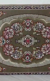 یک جفت پشتی درحدنو