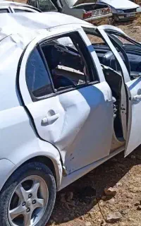 راین تصادفی