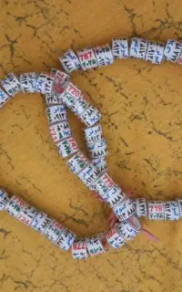 کرمان پلاک کبوتر مشخصاتی