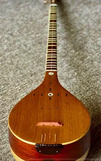 آموزش..تخصصی سه تار از مبتدی تا پیشرفته (خصوصی)