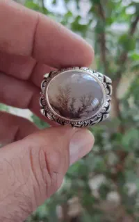 انگ شت