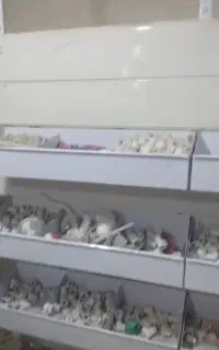 اتصالات لوله pp و گالوانیزه و گازی