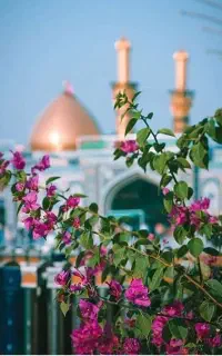 کربلا طرح مهدوی (حسینیه 11/900،هتلی) زیر نظر هیئت