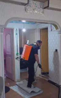 سمپاشی حشرات.موش.ساس.کک بامجوزبهداشت و100درصدتضمین
