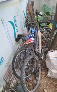 3 عدد دوچرخه همه باهم