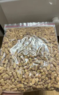 توت خشک آذربایجان