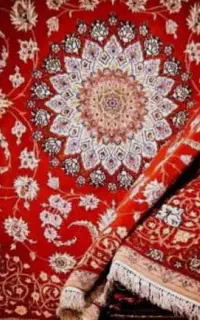 جادوی تمیزی با قالی شویی گلبهار سراسر اهواز