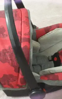 کریر خوش رنگ