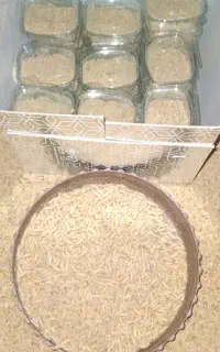 فروش ماگوت به صورت کلی و جزیی