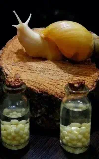 حلزون تراپی