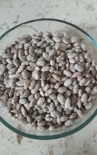 حبوبات تازه لرستان
