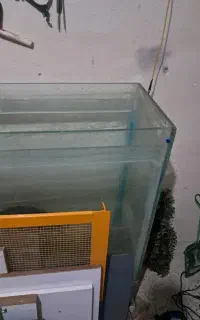 اکواریوم